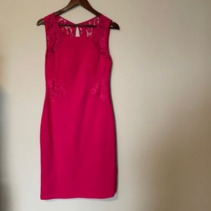 Le chateau fuschia and lace dress NWT medium